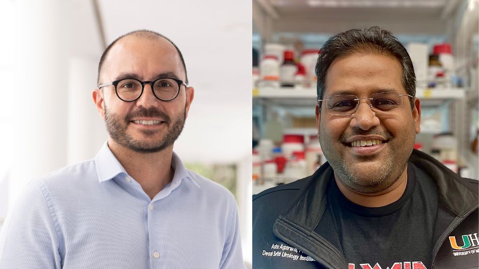 Engineering Professors Recognized as “Rising Stars” in Florida