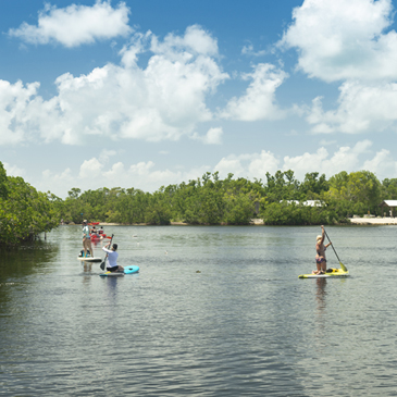 People paddleboarding at the John Pennekamp Coral Reef State Park in the Florida Keys.