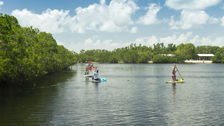 People paddleboarding at the John Pennekamp Coral Reef State Park in the Florida Keys.