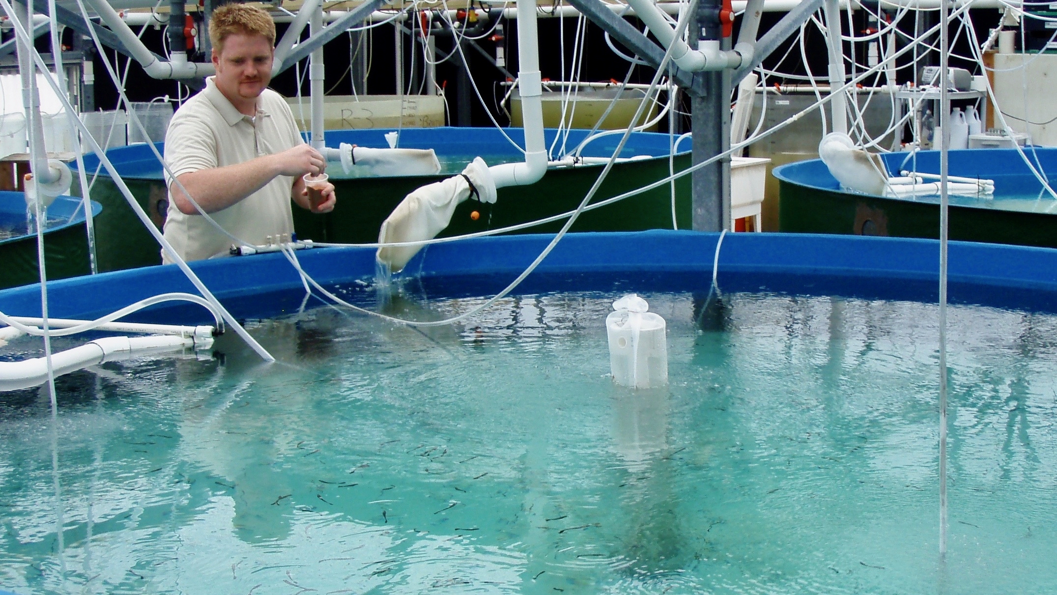 UM Signs $1.5 Million Research Agreement With Aqquua LLC to Advance Sustainable Aquaculture Tech