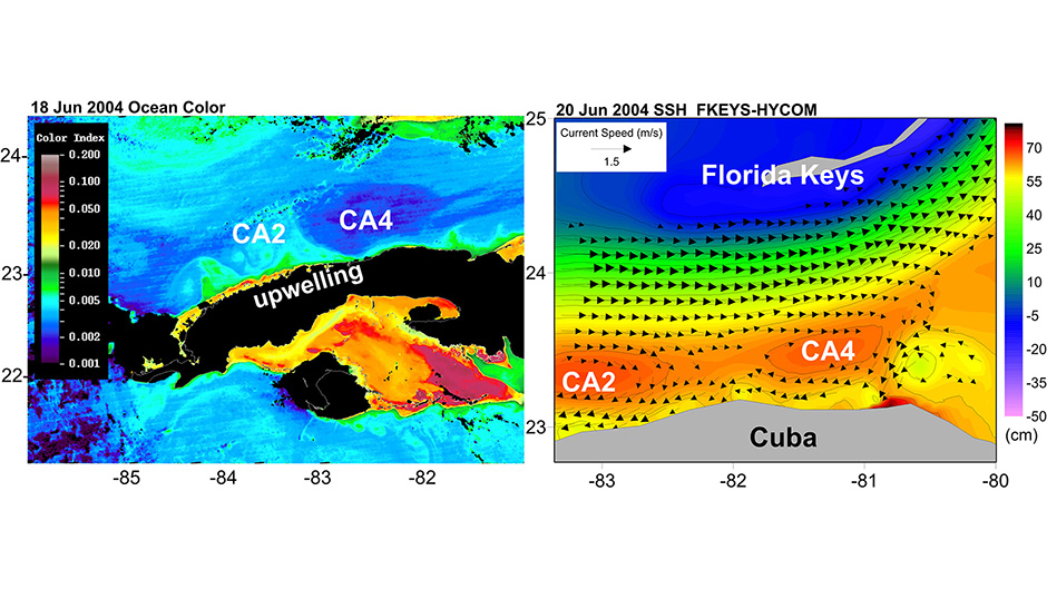 Study Finds New “Ocean” Link Between Florida and Cuba