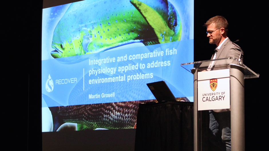 UM Professor Receives Award of Excellence in Fish Physiology