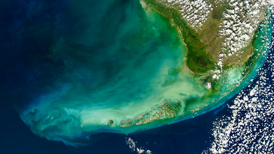 Seventy percent of Florida’s coral reefs are eroding, new study finds