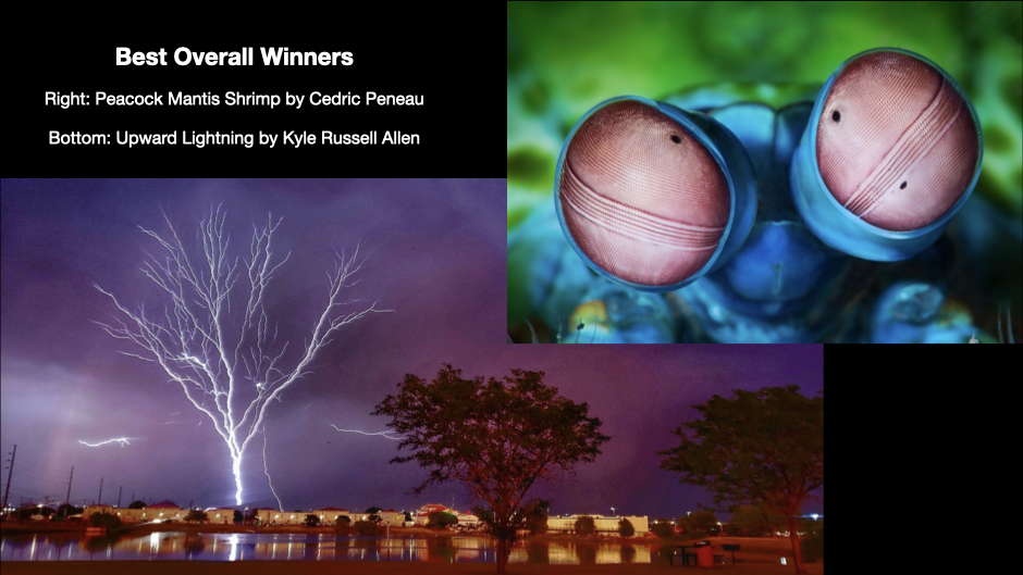 Stunning photographs unveiled as contest winners on World Ocean Day