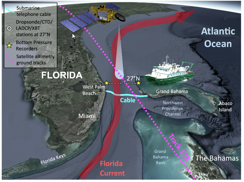 The Western Boundary Time Series observing network in the Straits of Florida