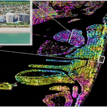 New study finds subsidence hotspots impacting buildings in South Florida