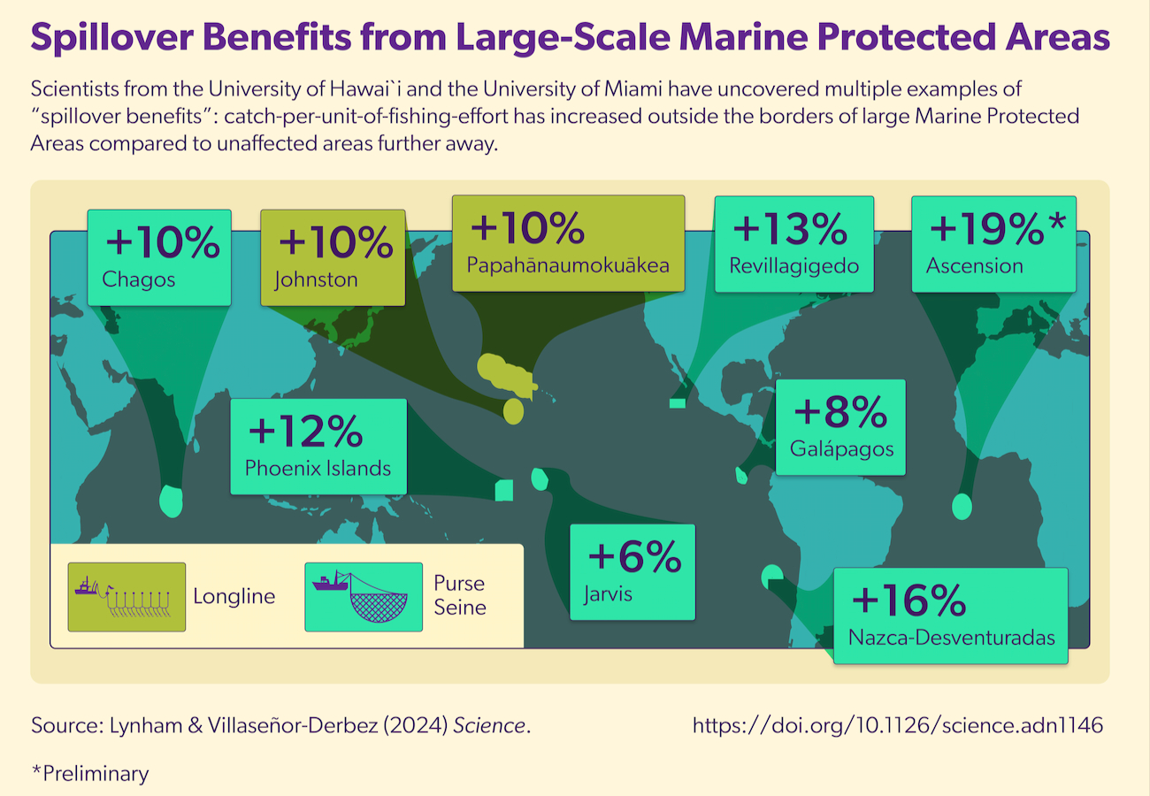 Spillover benefits from large-scale Marine Protected Areas