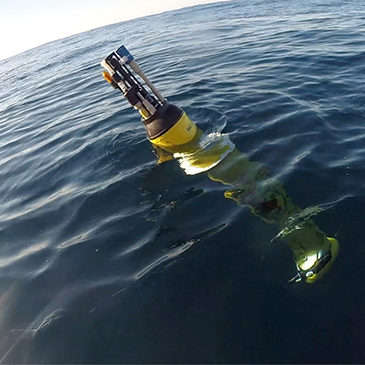 marine-heatwaves-disrtrupt-ocean-food-webs-and-slow-carbon-transport-to-the-deep-sea