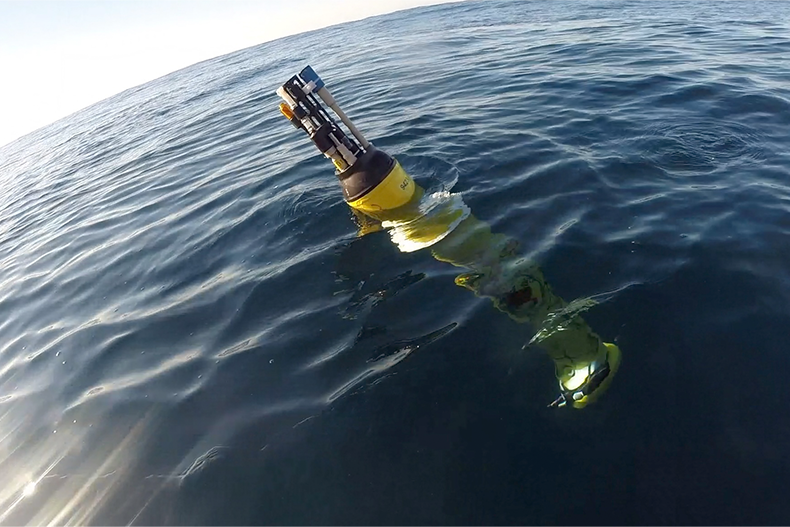 marine-heatwaves-disrtrupt-ocean-food-webs-and-slow-carbon-transport-to-the-deep-sea