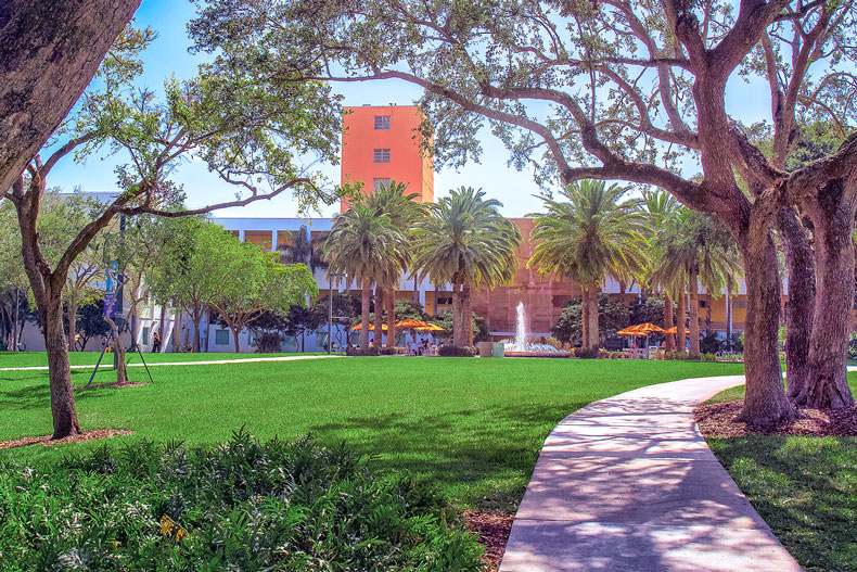 Campus photography showing the path toward the Merrick Building. Photo: Mike Montero/University of Miami 