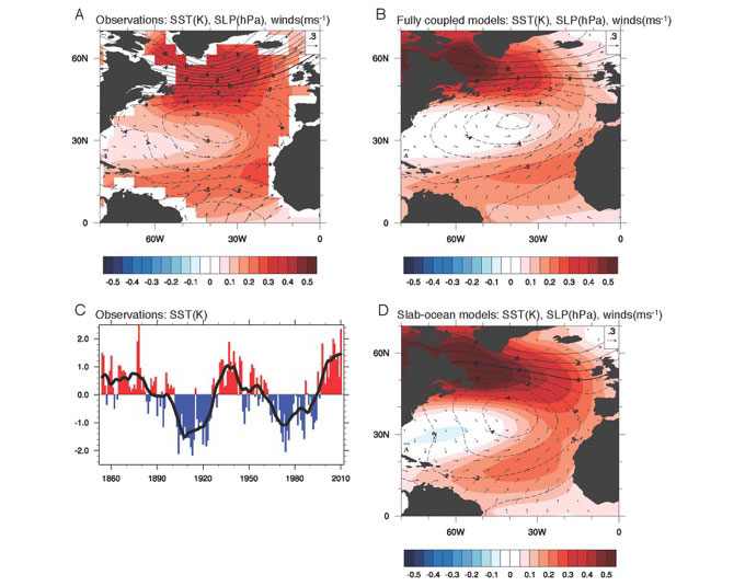 'horseshoe' pattern of Atlantic climate variability 