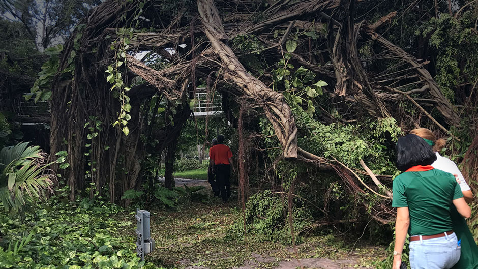 Assessing Damage on Campus After Hurricane Irma