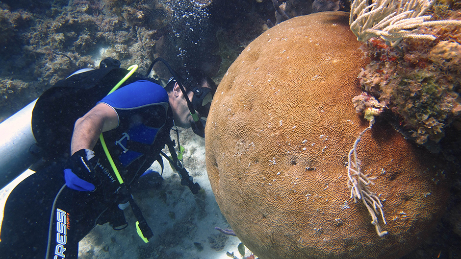 Finding Keys to Coral Survival