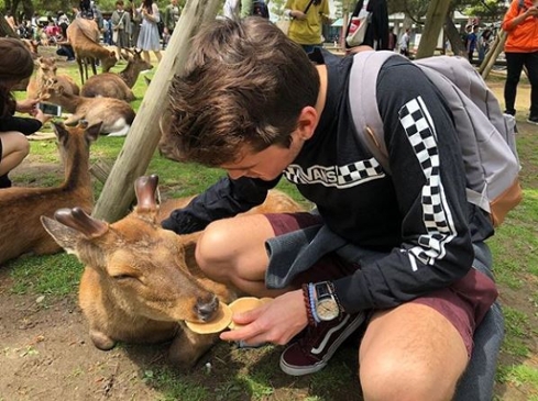 Alumni Andrew Simms feeding a deer a biscuit in Nara,Japan.