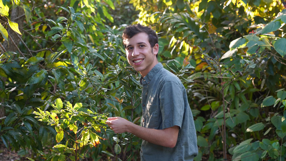 Communication senior Ezra Remer stands in front of his coffee, bay leaf, purple sugar apple, and mango trees at the South Miami home he rents. Photo courtesy of Ezra Remer