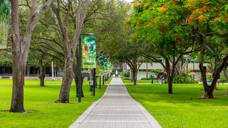 The University of Miami’s Coral Gables Campus recently received a “Tree Campus USA” designation from the Arbor Day Foundation.
