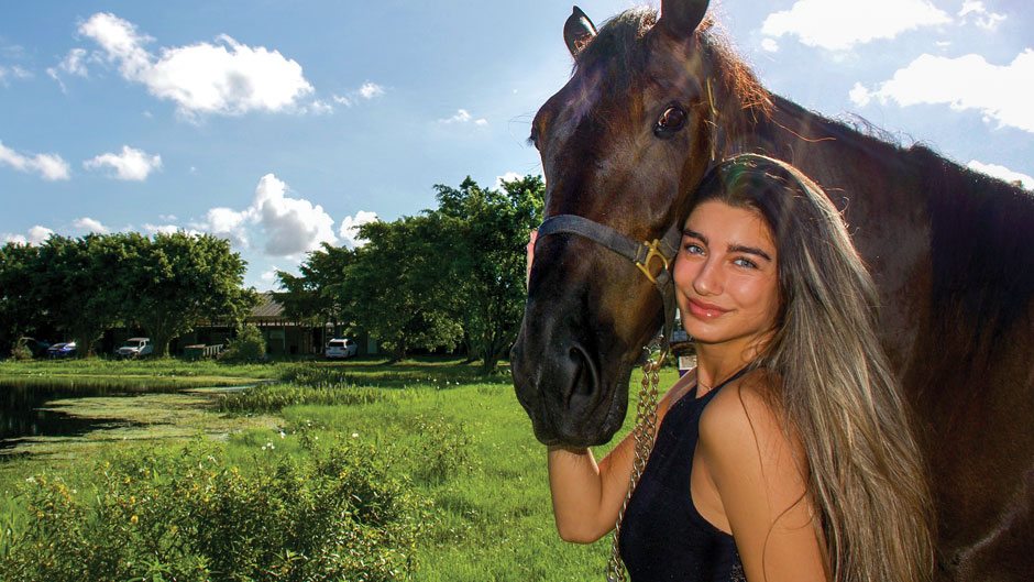 Student senator Tauna Yazici’s dogged preparation and research helps free hundreds of abused carriage horses in her Turkish homeland.