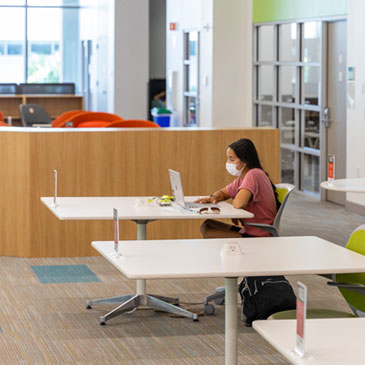 A student studies in the Learning Commons at Richter Library.