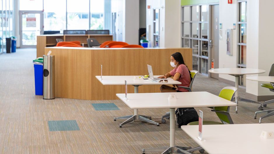 A student studies in the Learning Commons at Richter Library.
