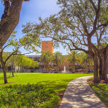 Path leading to Merrick Building on the Coral Gables Campus