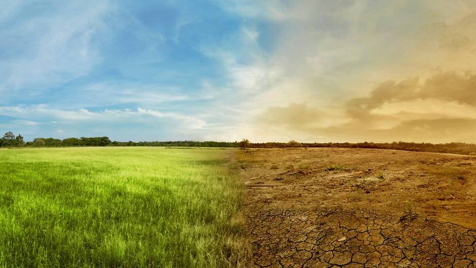 Landscape of meadow field with the changing environment stock photo