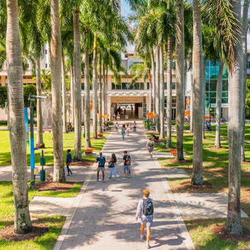 Students walk along the pathway leading to the Otto G. Richter Library on the Coral Gables Campus. Photo: TJ Lievonen/University of Miami