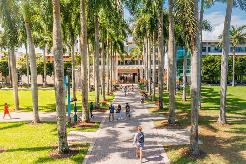 Students walk along the pathway leading to the Otto G. Richter Library on the Coral Gables Campus. Photo: TJ Lievonen/University of Miami