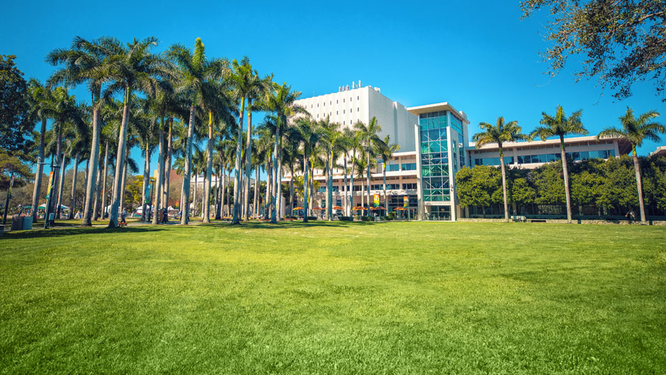 Foote University Green on the Coral Gables Campus. Photo: Evan Garcia/University of Miami