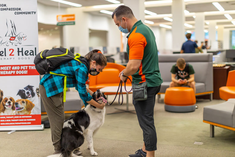 Graduate student Rebecca Vargas gets a stress-relieving visit from Dash during finals week.