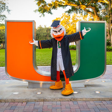 Sebastian the Ibis poses in front of the U statue wearing Commencement regalia.