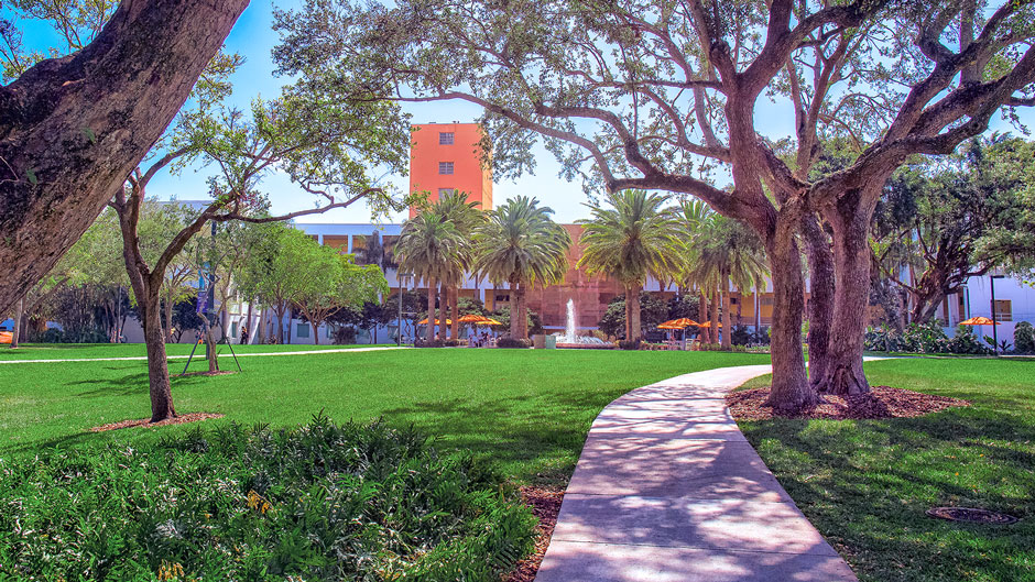 Campus photography showing the path toward the Merrick Building. Photo: Mike Montero/University of Miami