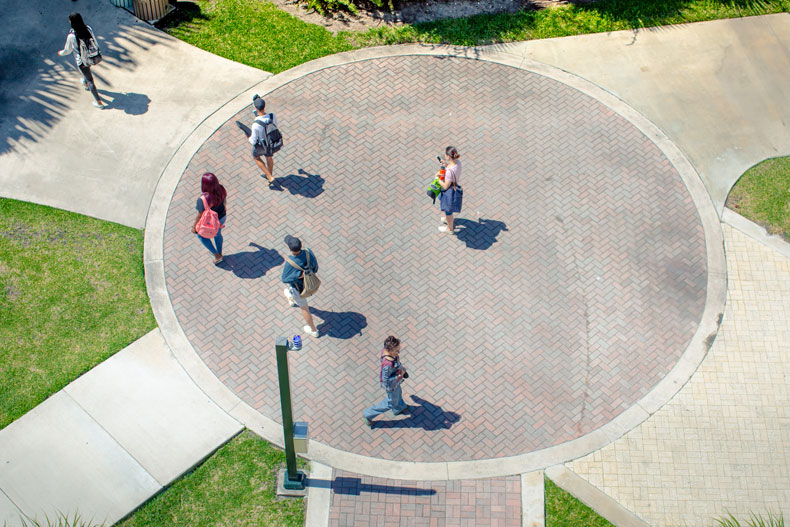 Students cross paths on the Coral Gables Campus.