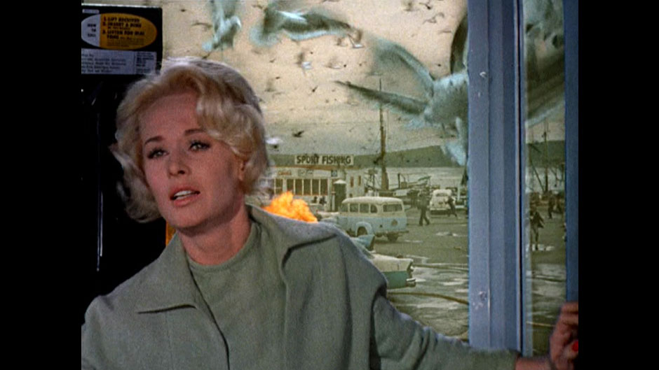 Pájaros (1963), Universal World Pictures