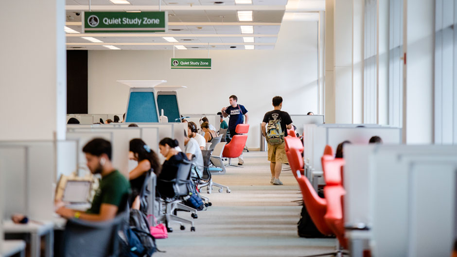 Students study in a quiet study zone of the Otto G. Richter Library.
