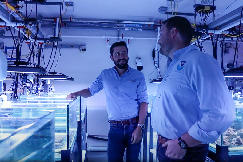 An ecologist and assistant scientist are conducting experiments in an innovative NOAA coral lab at the Rosenstiel School of Marine, Atmospheric, and Earth Science to identify the Stony Coral Tissue Loss Disease pathogen that has destroyed corals in Florida.