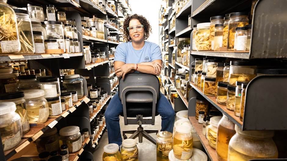 Photo by Joshua Prezant/University of Miami. Nikki Traylor-Knowles, Associate Professor Department of Marine Biology and Ecology.Rosenstiel School of Marine, Atmospheric, and Earth Science, poses for a portrait in The Gil and Nancy Voss Marine Invertebrate Collection.