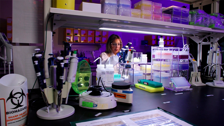 Recognized for its groundbreaking research and graduate education, the University of Miami is one of six leading research universities invited to join the association.
