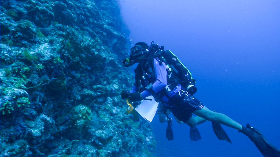 Richard Coleman diving on deepwater reef
