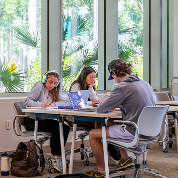 Students study at the Otto G. Richter Library on Coral Gables Campus. 