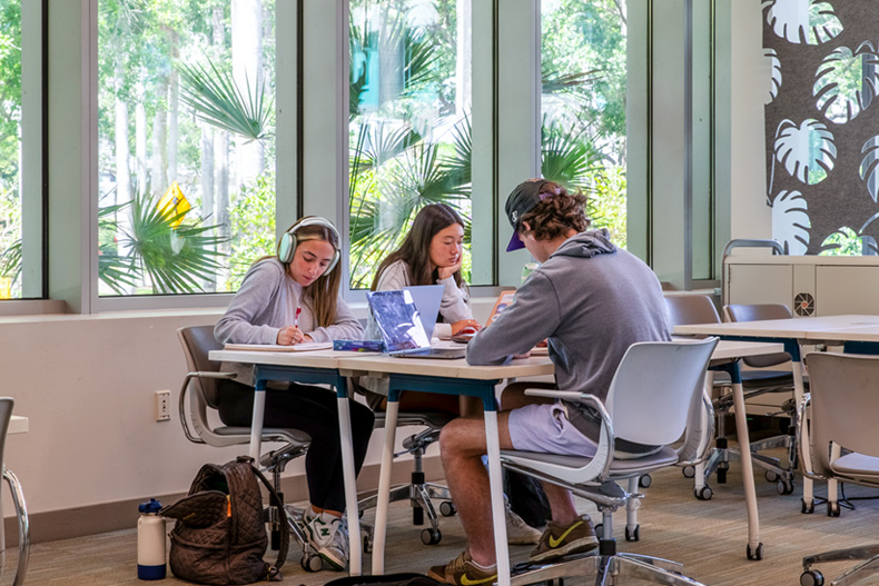 Students study at the Otto G. Richter Library on Coral Gables Campus. 