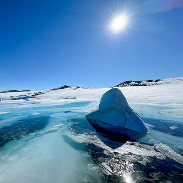 Arctic ice melt