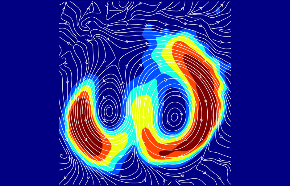 cellular motion in chicken embryos