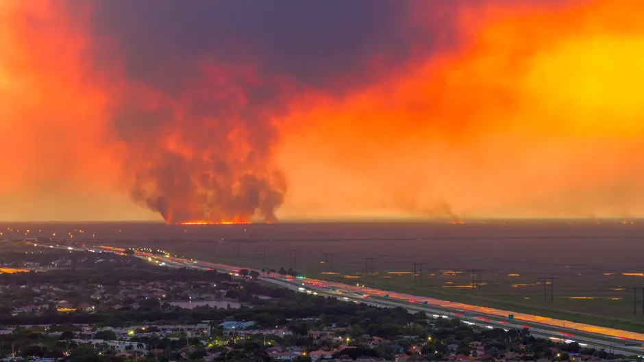 Everglades fire