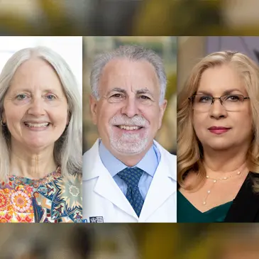 Faculty Senate officers