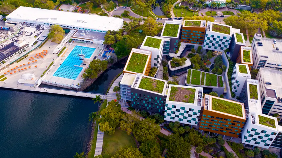 University of Miami campus
