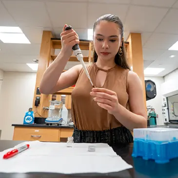 REU summer program 