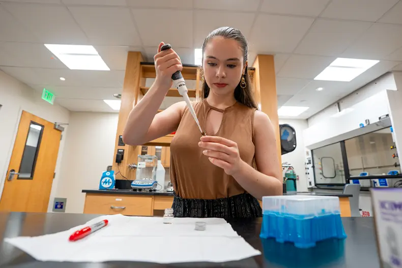 REU summer program 