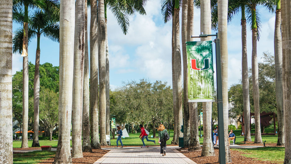 University of Miami campus scenery 