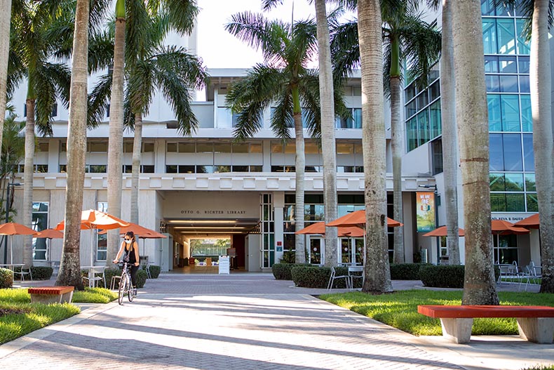 Undergraduate Admission University Of Miami