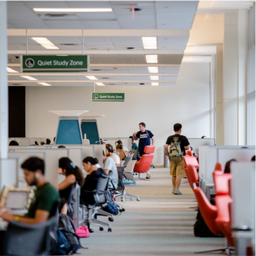 Students working in library.